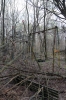 Ukraine, Chernobyl Tour with Solo East - Chernobyl-2 military base where the Duga-1 Over The Horizon military radar was erected as part of the Soviet early warning network - the radar systems were referred to as Russian Woodpeckers due to the nature of the interference received they inflicted worldwide