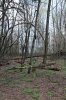 Ukraine, Chernobyl Tour with Solo East - Chernobyl-2 military base where the Duga-1 Over The Horizon military radar was erected as part of the Soviet early warning network - the radar systems were referred to as Russian Woodpeckers due to the nature of the interference received they inflicted worldwide