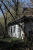 Ukraine, Chernobyl Tour with Solo East - Abandoned village of Zalissia on the outskirts of Chernobyl town