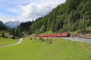 RhB Ge4/4III #642 arrives into Bergun with RE1145 1358 Chur - St Moritz