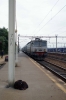 CFR 400527 arrives into Chitila with R3005 1415 Bucharest Nord - Brasov