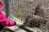 Yorkshire Wildlife Park VIP Trip - Feeding Giant Otters Mora & Alexandra