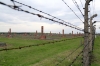 Poland, Auschwitz II - Birkenau - Remains of Section BII taken through the fence that separated Section BIIa (R) from BIIb (L); most of the Section BII was destroyed by the retreating Nazi's in an attempt to cover up their crimes