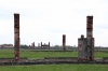 Poland, Auschwitz II - Birkenau - Remains of Section BII; most of this section was destroyed by the retreating Nazi's in an attempt to cover up their crimes. These thicker chimney's are all that remains of the kitchen barracks that were at the end of each of Section BII's row of barracks.