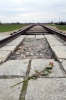 Poland, Auschwitz II - Birkenau - The end of the railway sidings, literally yards from which were Gas Chambers 2 & 3.