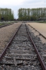 Poland, Auschwitz II - Birkenau - The Ramp, as it's known, looking towards Gas Chambers & Crematoriums 2 & 3, which are a matter of yards from the end of the railway sidings