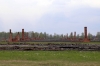 Poland, Auschwitz II - Birkenau - Remains of Section BII; most of this section was destroyed by the retreating Nazi's in an attempt to cover up their crimes