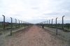 Poland, Auschwitz II - Birkenau - After the selection process that took place when trains arrived at The Ramp, those selected for immediate extermination were marched down this "central road" that led between Sections BIIc & BIId. they were then led left at the end and down the road between Sections BII & BIII; straight to Gas Chambers IV & V.