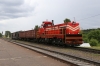 BCh TME1-036 runs through Lucosa with a short trip freight