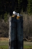 Carcross, Yukon, Canada