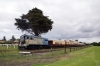Ex Queensland 1600 Class, EE 6CSRKT, #1604 at Queenscliff after arrival with the ecs for our Private Charter on the Bellarine Railway, Victoria