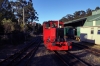 Don River Railway, Devonport, Tasmania - EE SRKT X Class, X4 is shunted to bed by Drewry V Class, V2 while Malcolm Moore U Class, U6 shunts the station area