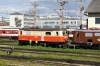 Novog Shed at St Polten Alpenbahnhof -  1099001 & 1099010