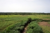 Near Bawa, about an hour south of N'gaoundere