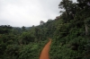 Scenery on the Yaounde to Douala line