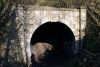 Old Hull & Barnsley Railway Tunnel entrance, which runs almost parallel to the exisiting Conisbrough Tunnel on the main Doncaster - Sheffield line
