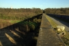 Conisbrough Viaduct on a sunny Spring afternoon