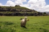 Cusco, Peru - Sacsaywaman