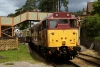 31466 at Parkend with the 1227 Parkend - Lydney Jct