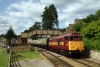 31466 at Parkend with the 1607 Parkend - Lydney Jct (73001 rear)