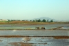 North Korea - Pyongyang - Kaesong Highway between Pyongyang & Heungsu (Reunification Highway Rest Stop)