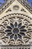 Paris - Notre Dame Cathedral