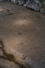 Georgia - Sataplia Nature Reserve - Fossilized dinosaur footprints