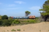 A9101 (front) & A9105 (rear) pose for photos at Kaiafa  with a special charter arranged by TrainOSE, train 7351 0900 Kalamata - Pirghos