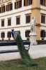 Graz - Eggenberg Palace (Schloss Eggenberg)