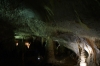 Postojna Caves, Slovenia
