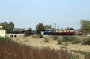 BRC WAG5 21143 departs Dakaniya Talav with 56356 0500 Mathura Jn - Ratlam Jn passenger