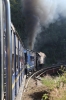 ONR X Class steam loco 37399 built in 2014 propels its train between Adderley & Hillgrove while working 56136 0710 Mettupalayam - Udagamandalam (Ooty)