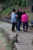 Monkey's at Hillgrove on the Nilgiri Mountain Railway; strangely they only appear for the afternoon train, not the morning one going up the hill!