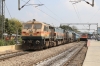 KZJ WDG4's 70048/12969 stand in for the usual Alco twins as they wait to depart Yesvantpur Jn with 12193 1550 Yesvantpur Jn - Jabalpur Jn; more concerning though is the train to the right, which is 17604 1530 Yesvantpur Jn - Kacheguda with LGD WAP4 22642! This train had been its customary GY GM the previous week so one could only assume that the OHL had been switched on from Hindupur towards Guntakal!