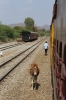 FL outbased MVJ YDM4 6655 after arrival at Phulad with 52075 1400 Marwar Jn - Mavli Jn, where it would run-round before continuing through the ghats