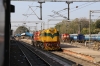 JHS WDS6AD 36352 has JHS WDG3A 14989 in tow at Jhansi Jn, with JHS WDM3A 18760 stabled in the carriage sidings