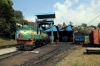 Coonoor Loco shed - X Class Steam 37391, 37397 & 37399 (with GOC YDM4 6724)