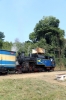 ONR X Class steam 37397 leads 56137 1400 Udagamandalam - Mettupalayam during a water stop at Runneymede