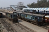 IZN YDM4's 6503/6520 run through the station at Pilibhit Jn while 6515 waits its next work. On the BG side of the station IZN WDM3D 11336 runs round its stock after arriving with 55363 1105 Bareilly City - Pilibhit Jn