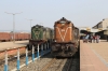 BWN WDM3A 18875 at Dumka after arrival with 53081 1130 Rampurhat - Dumka, which is the only train of the day over the section! Standing in the adjacent platform is UDL WDM3A 16572 with the stock for 18620 1845 Dumka - Ranchi Jn Intercity
