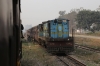 IZN YDM4 6531 arrives into Bhira Kheri with 52239 0620 Tikunia - Mailani Jn; while IZN YDM4 6761 waits to depart with 52252 0700 Mailani Jn - Bahraich