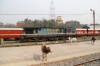 Ex CI, now IZN YDM4 6601 stabled at Mailani Jn; where it sat for the 5 days I was in the area