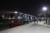 IZN WDM3B 14151 at Bareilly City after arrival with 55368 1815 Pilibhit Jn - Bareilly City