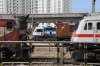 Yesvantpur Jn - BSL WAG5 23558, RPM WAP7 30359, KJM WDP4 20034 and MLY WDG3A (with KZJ WDM3A 14031 out of shot) after arrival with 12591 0635 (PP) Gorakhpur Jn - Yesvantpur Jn