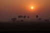 Sunrise near Wena on the Rajgir line, Bihar