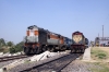 Rajgir - (L) LDH WDM3A 16135 with its set off 15110 2035 Varanasi - Rajgir from the previous night and (R) HWH WDM3A 16060 after arrival with 53043 1110 (04/03) Howrah - Rajgir passenger