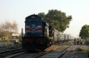 GD WDM3A 16025 arrives into Alwar Jct with 15013 0630 Bhagat Ki Kothi - Kathgodam