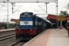 RTM WDM3D 11560 hammers into Dewas Jn with 19801 0630 Kota Jn - Indore Jn; almost 2 hours late