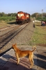 ET WDM3A 16223 runs round at Dhule to work 51112 0750 Dhule - Chalisgaon Jn 