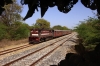 MVJ outbased FL YDM4 6470 approaches Mavli Jct with 52073 0500 Marwar Jct - Mavli Jct